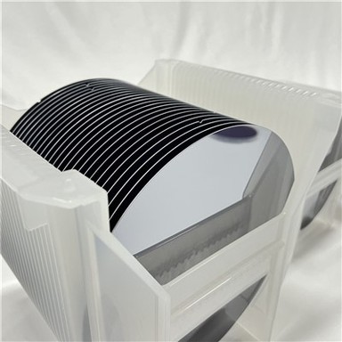 Wafer Inp 6 Inci